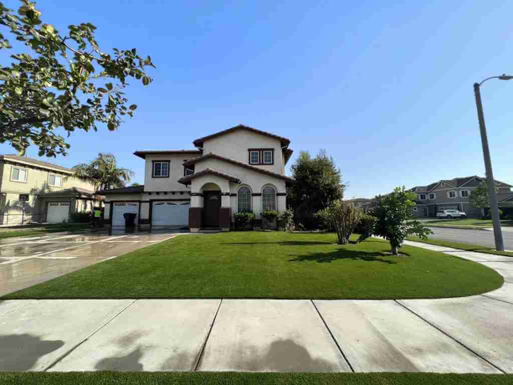garden lawn