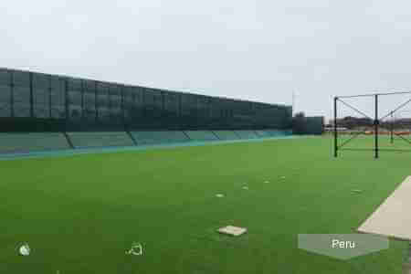 Peru turf grass garden