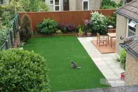 A kitten playing in an artificial grass garden