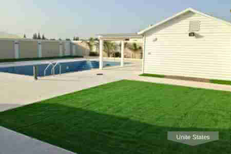 Artificial grass backyard with pool