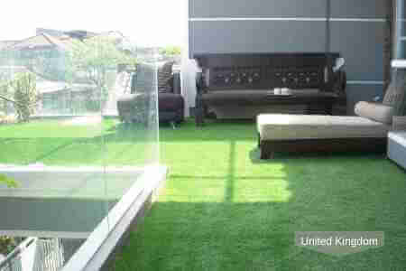 Artificial turf laid in offices