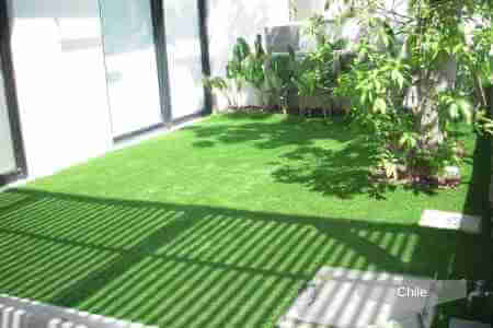 Sunny balcony garden