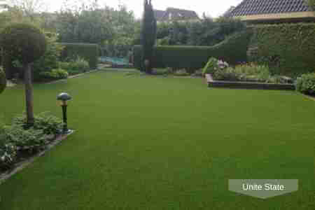 The garden area behind a luxury hotel
