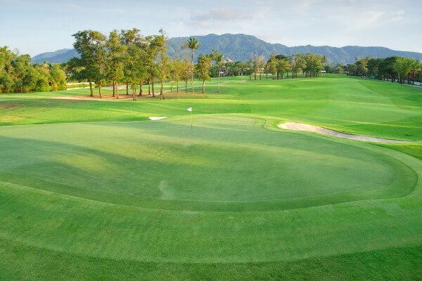 puttin green golf land