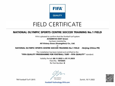FIFA certification 1