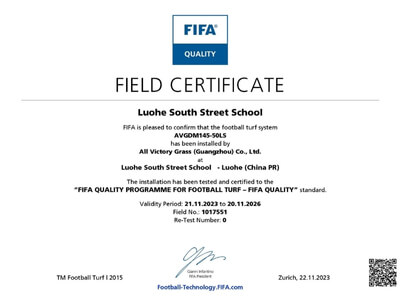 FIFA certification 10