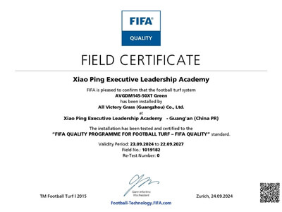 FIFA certification 11