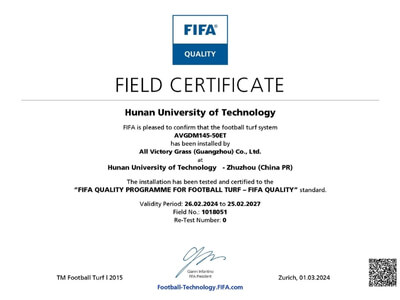 FIFA certification 12