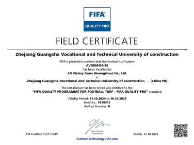 FIFA certification 13