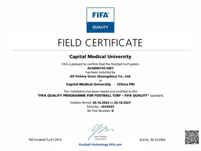 FIFA certification 14