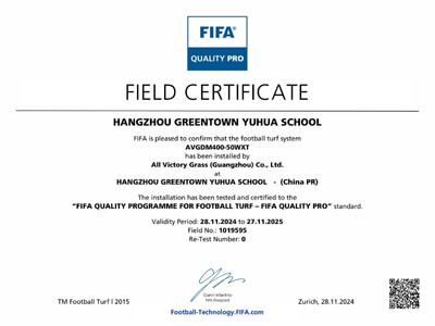 FIFA certification 15