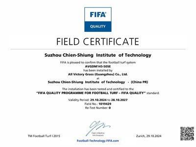 FIFA certification 16