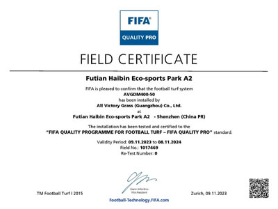 FIFA certification 5