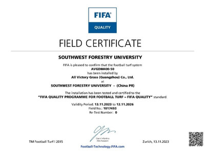 FIFA certification 7