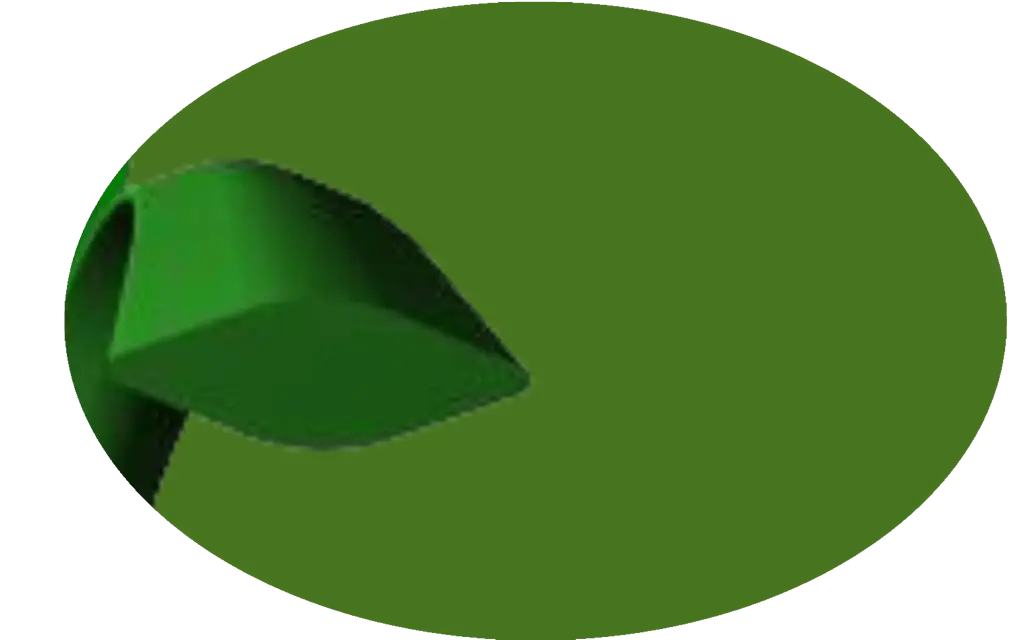 4D